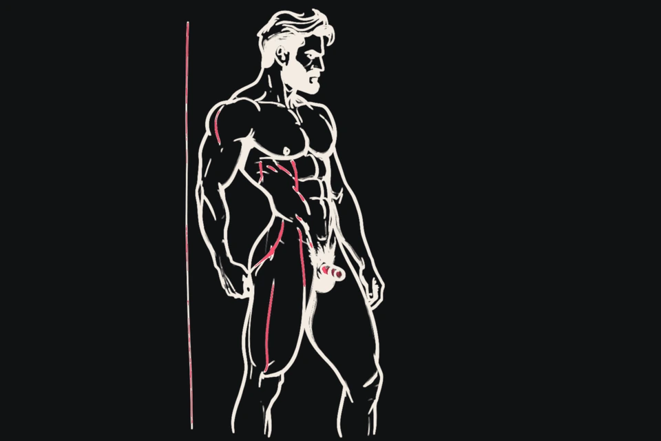 A muscular man seen from the side